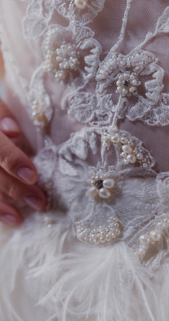 Video  Download, Embroidery, Net, Dress, Wedding, Bride