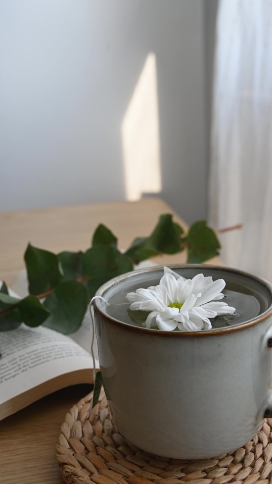 Thunderstorm Stock Footage, Cup, Spa, Tea, Flower, Food